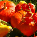2010-10-22_185554