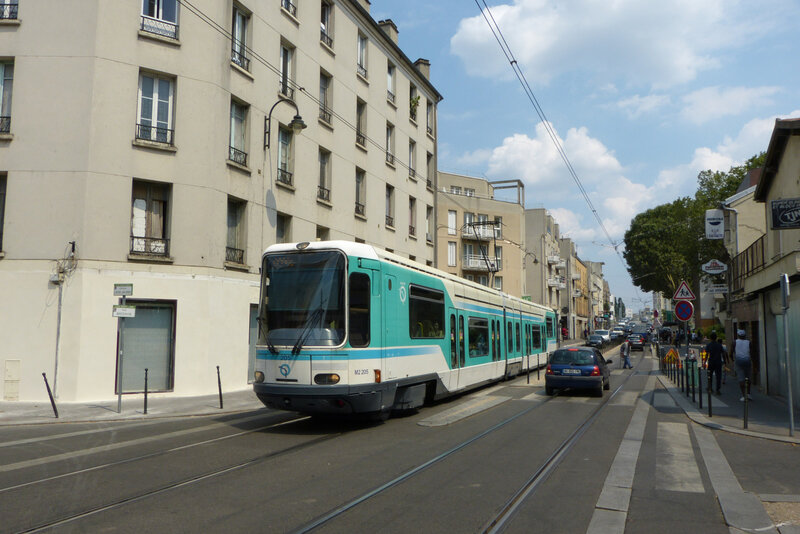 080718_T1ile-saint-denis-mechin2