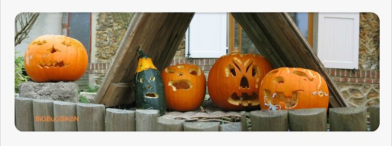 2013_10_31 Citrouilles