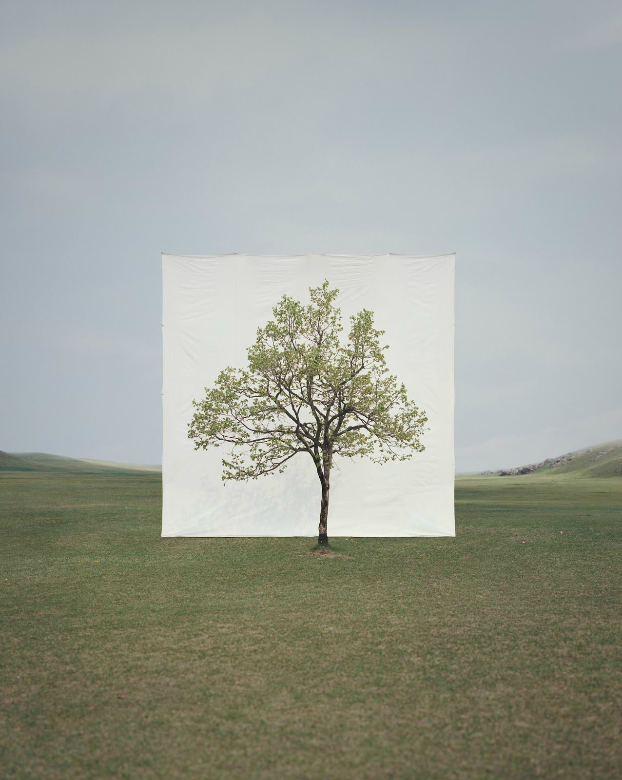 myoung ho lee+yossi milo gallery