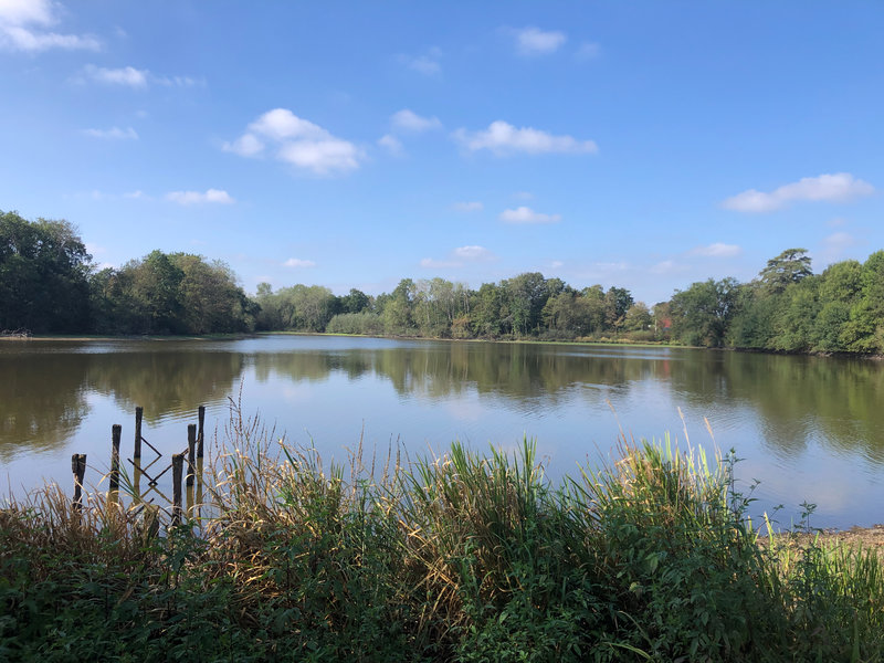 16-Babeth Etang de la Thévinière