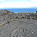 PICO_011