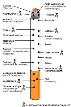 Impact du forex sur le tabac