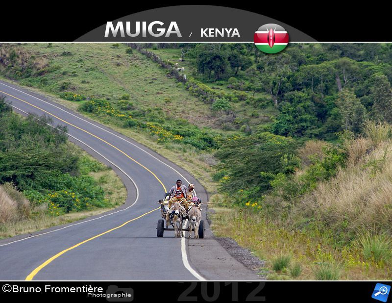 Long road 800