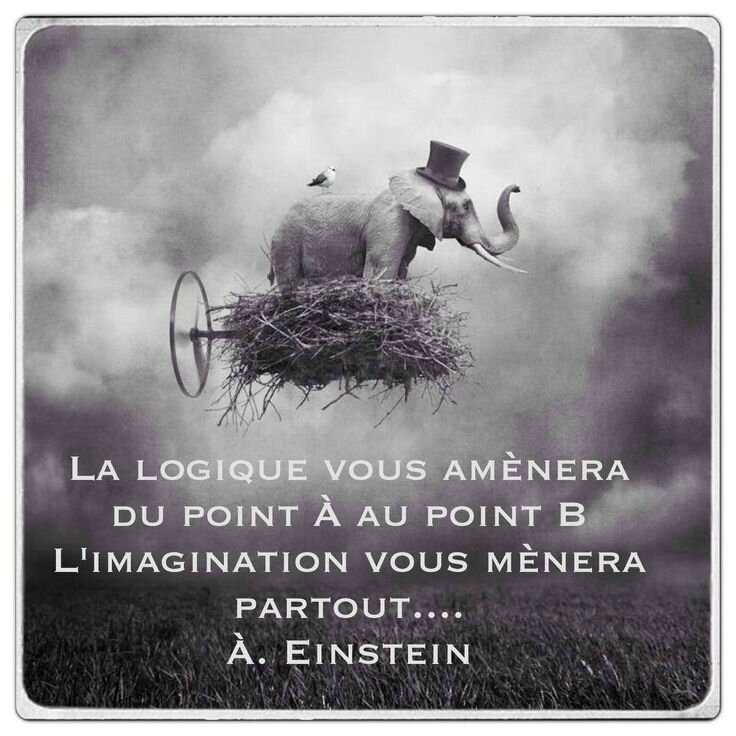Imagine La Logique Ou L Imagination Selon Albert Einstein Mosaiques De Lectures Et D Images