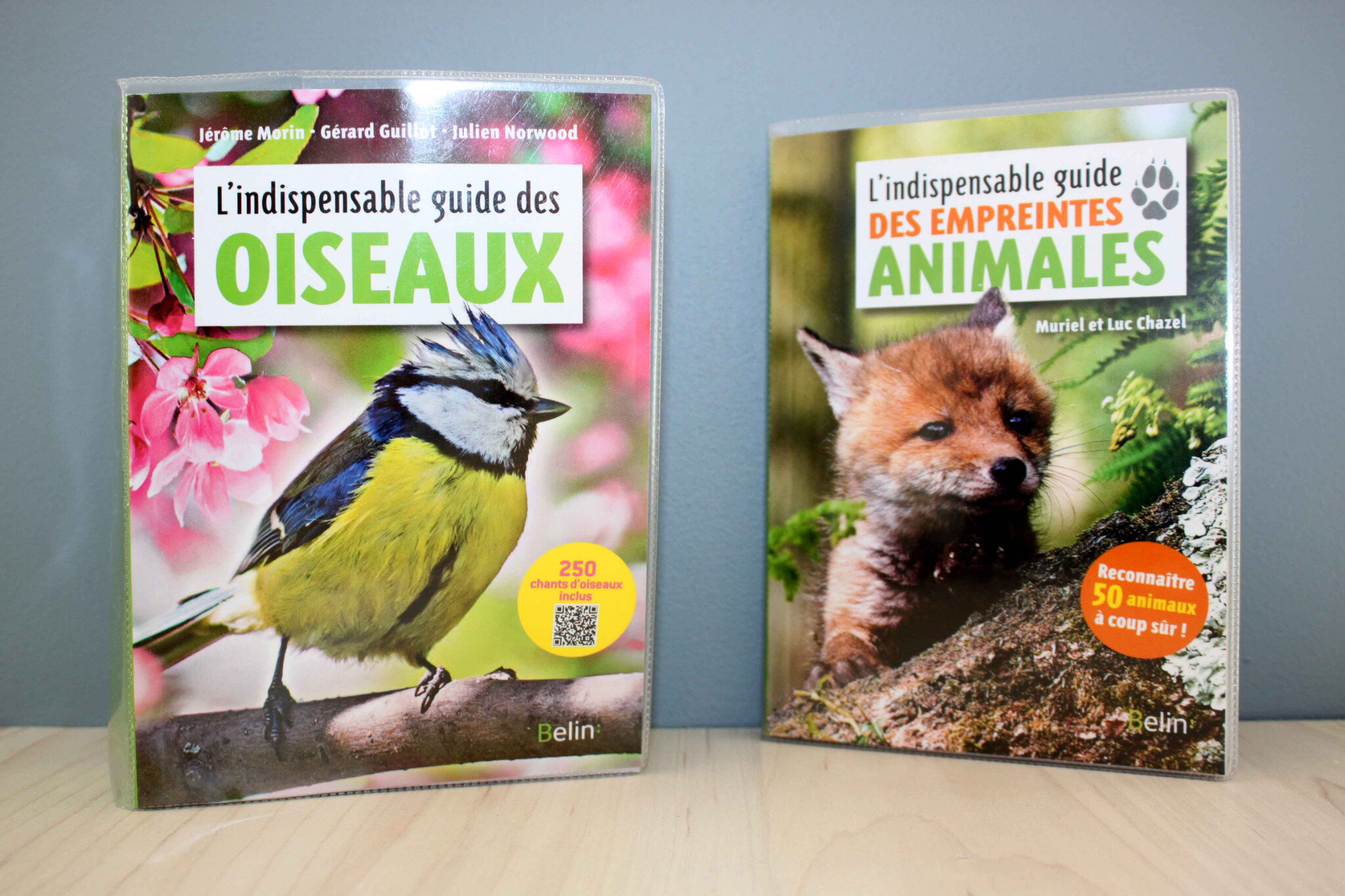 Lindispensable Guide Des Oiseaux Des Empreintes Animales
