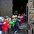 _IGP6135