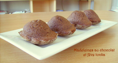 madeleines_au_chocolat_et_f_ve_tonka