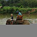 DSC05921