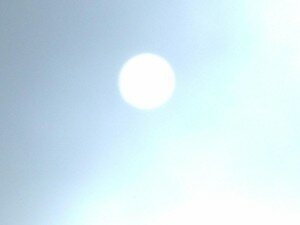 DSCF5970