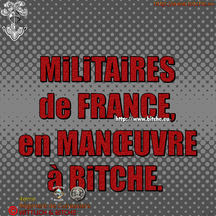 - Militaires de France, en maoeuvres à Bitche