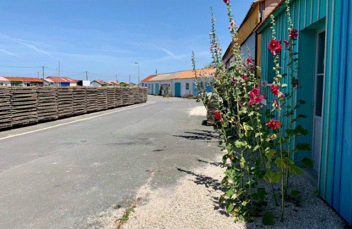 &aatl oleron 3