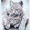 2 chatons lynx jeu - Ghislane Letourneur-BD