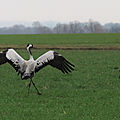 IMG_3830