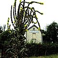 IMGP0296