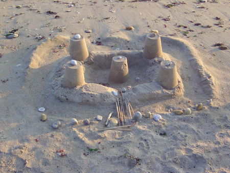 BILD2431