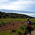 gruifar0519 (8)
