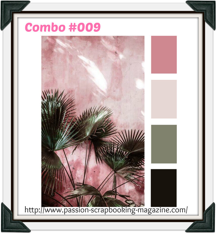COMBO #009 juin 2019