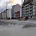 _IGP2646 (3)