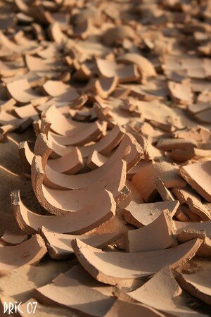 mauritanie_2010