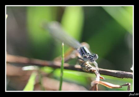 IMG_0591_sign_e