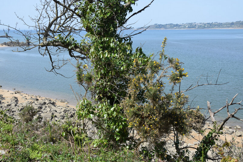 190419 Nikon 011