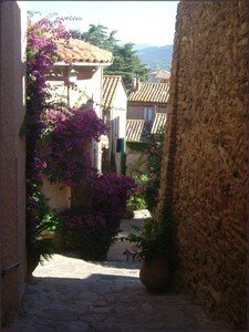 bormes_les_mimosas_04