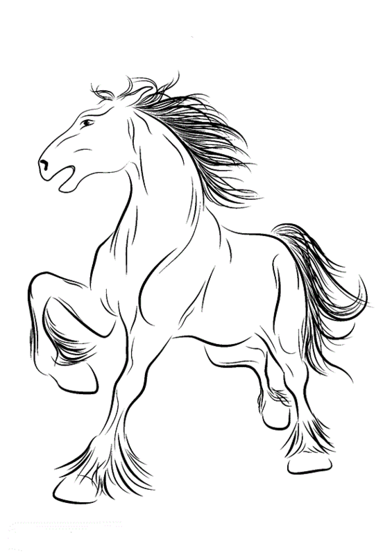 chevaux-realistes-04-8745