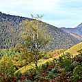 Les Monts d'Arette...