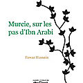 Murcie, sur les pas d'ibn arabi, de fawaz hussain