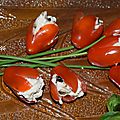 Bouquet de tulipes