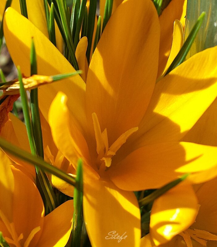 20140224_134434