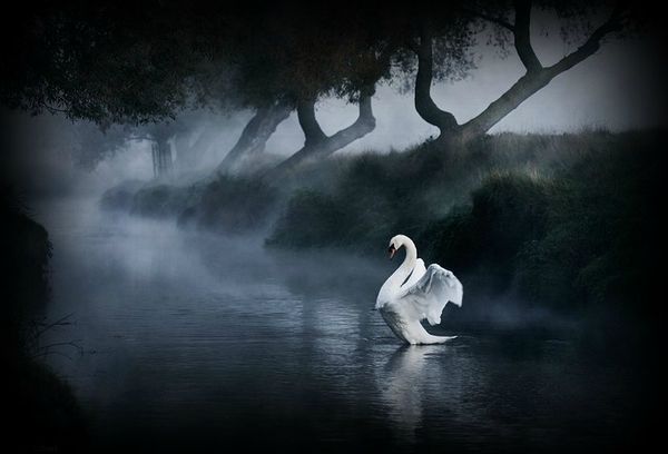 MATIN