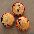 Muffins citron-myrtilles