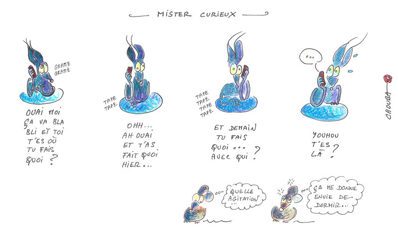 mister-curieux-blog