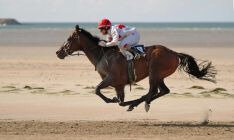 1311901-Course_de_chevaux