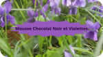 15 VIOLETTES(3)Mousse Chocolat noir et Violettes-modified