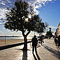 IMG_6765
