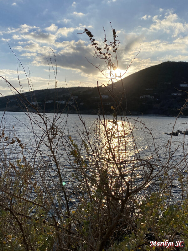 IMG_4544