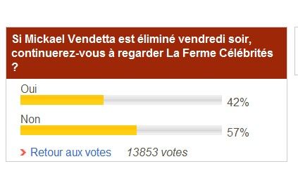 TF1 et les sondages de l'internet