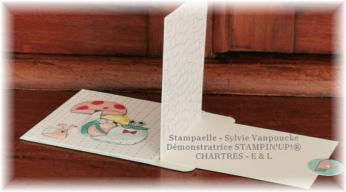 – Marie Meyer Démonstratrice Stampin up