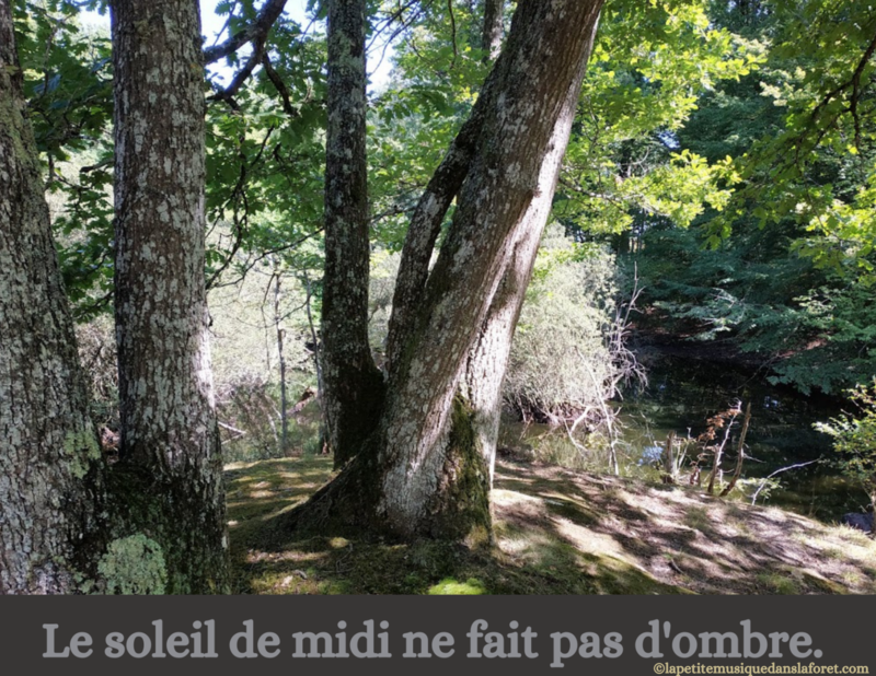 10 KOAN ZEN Le Soleil de Midi ne fait pas d'ombre