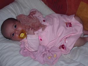 DSCN1433__Small_