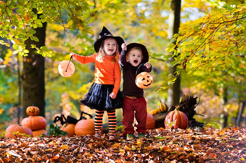 Halloween_Autumn_Pumpkin_505073