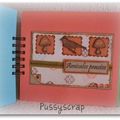 Mini présentation carte Pussyscrap-7