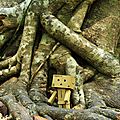 Les aventures de danbo au cambodge #4