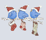 noel_017