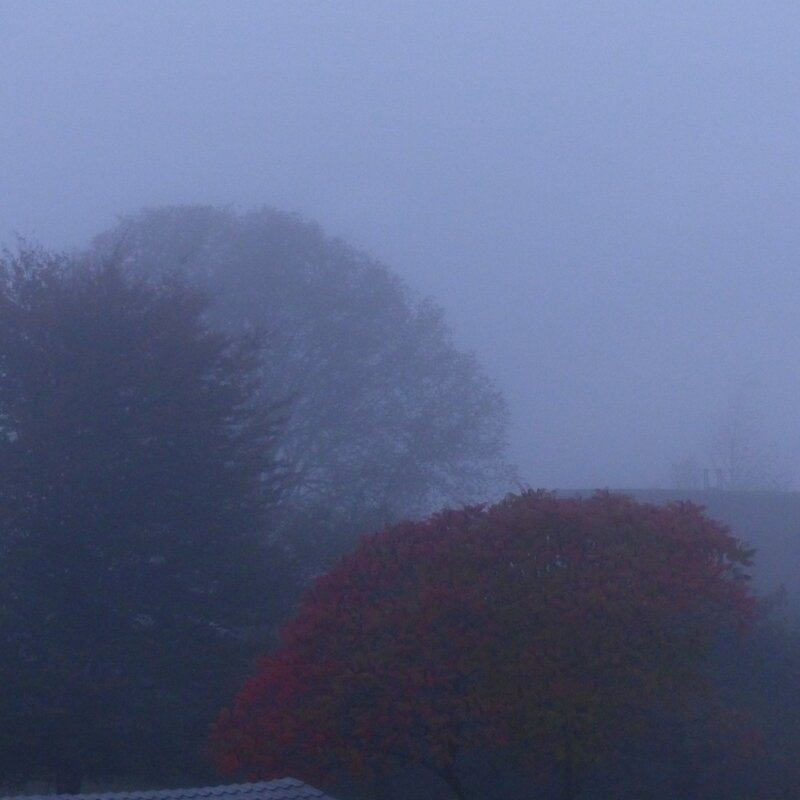 aaa brouillard1