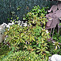 20190530_175726