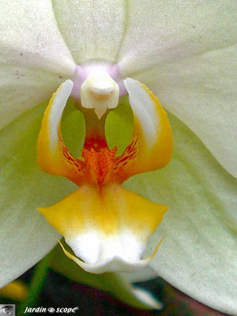 CIMG1276_macro